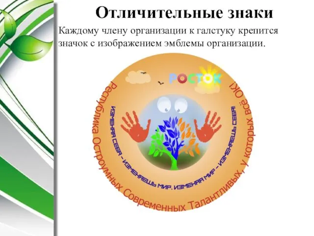 Отличительные знаки Каждому члену организации к галстуку крепится значок с изображением эмблемы организации.