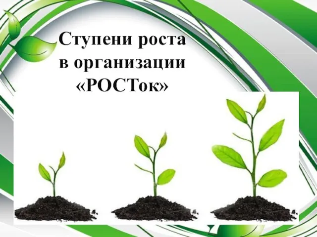 Ступени роста в организации «РОСТок»