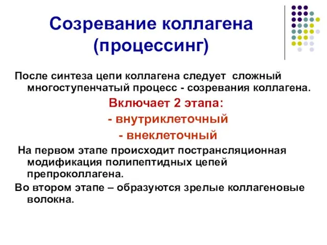 Созревание коллагена (процессинг) После синтеза цепи коллагена следует сложный многоступенчатый процесс