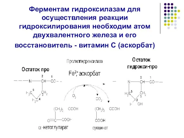 Ферментам гидроксилазам для осуществления реакции гидроксилирования необходим атом двухвалентного железа и