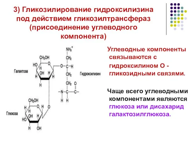 3) Гликозилирование гидроксилизина под действием гликозилтрансфераз (присоединение углеводного компонента) Углеводные компоненты