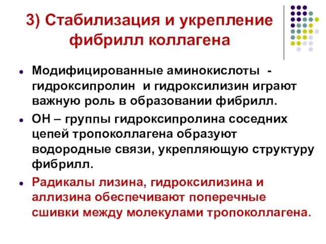 3) Стабилизация и укрепление фибрилл коллагена Модифицированные аминокислоты - гидроксипролин и