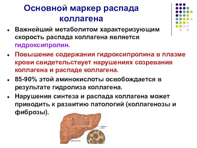 Основной маркер распада коллагена Важнейший метаболитом характеризующим скорость распада коллагена является