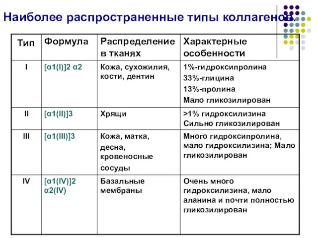 Наиболее распространенные типы коллагенов.