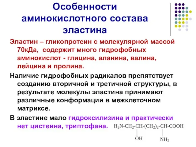 Особенности аминокислотного состава эластина Эластин – гликопротеин с молекулярной массой 70кДа,