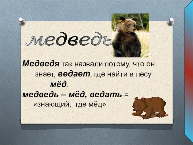 медведь Медведя так назвали потому, что он знает, ведает, где найти