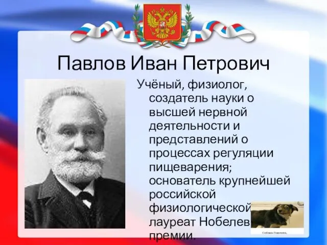 Павлов Иван Петрович Учёный, физиолог, создатель науки о высшей нервной деятельности