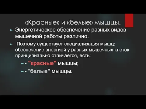 «Красные» и «белые» мышцы. Энергетическое обеспечение разных видов мышечной работы различно.