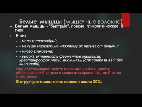 Белые мышцы (мышечные волокна) Белые мышцы - "быстрые", ловкие, гликолитические, II