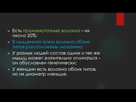 Есть промежуточные волокна – их около 20%; В мышечной ткани волокна