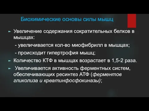 Биохимические основы силы мышц Увеличение содержания сократительных белков в мышцах: -