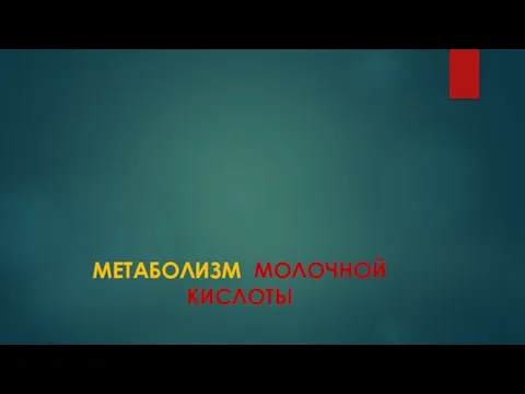 МЕТАБОЛИЗМ МОЛОЧНОЙ КИСЛОТЫ