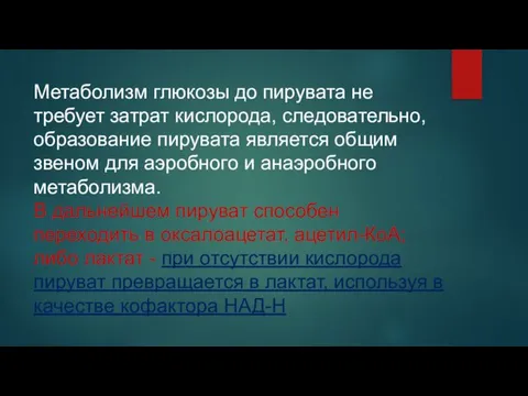 Метаболизм глюкозы до пирувата не требует затрат кислорода, следовательно, образование пирувата