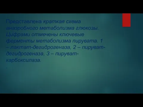 Представлена краткая схема анаэробного метаболизма глюкозы. Цифрами отмечены ключевые ферменты метаболизма