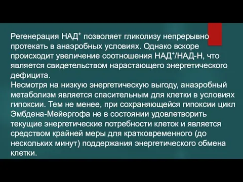 Регенерация НАД+ позволяет гликолизу непрерывно протекать в анаэробных условиях. Однако вскоре