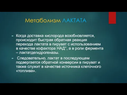 Метаболизм ЛАКТАТА Когда доставка кислорода возобновляется, происходит быстрая обратная реакция перехода