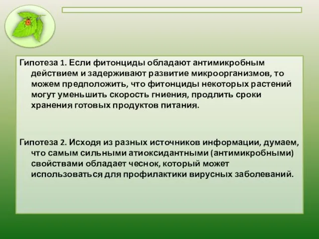 Гипотеза 1. Если фитонциды обладают антимикробным действием и задерживают развитие микроорганизмов,