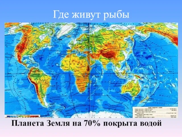 Где живут рыбы Планета Земля на 70% покрыта водой