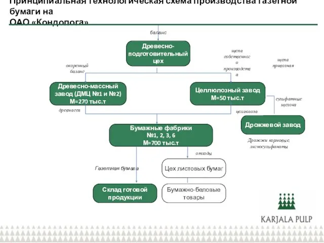 Принципиальная технологическая схема производства газетной бумаги на ОАО «Кондопога» Древесно-подготовительный цех