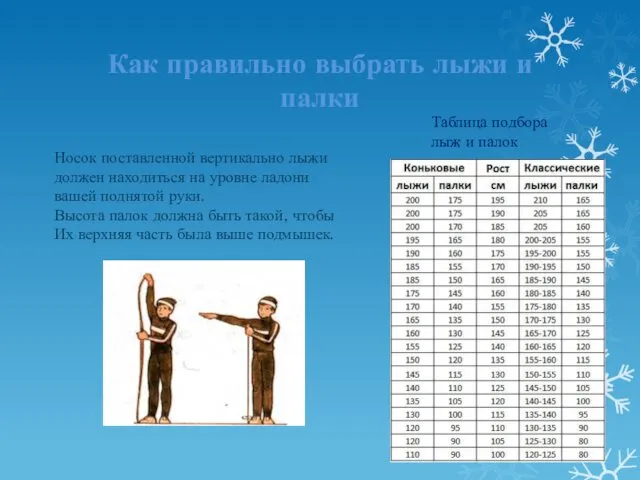 Как правильно выбрать лыжи и палки Носок поставленной вертикально лыжи должен