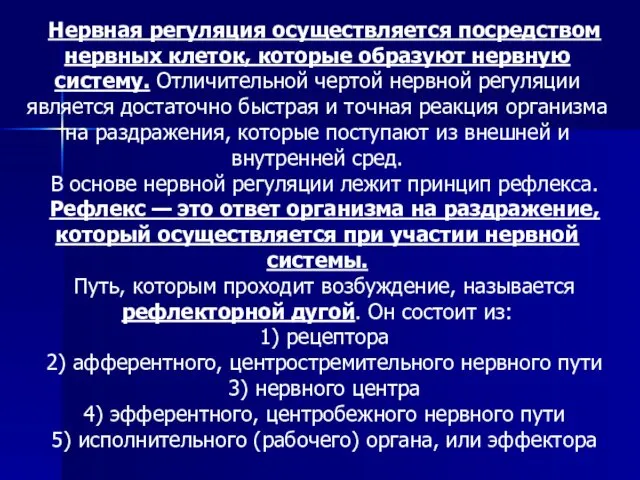 Нервная регуляция осуществляется посредством нервных клеток, которые образуют нервную систему. Отличительной