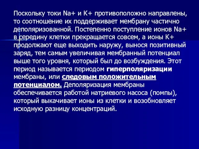 Поскольку токи Nа+ и К+ противоположно направлены, то соотношение их поддерживает