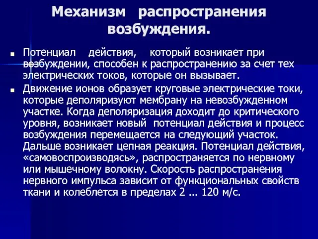 Механизм распространения возбуждения. Потенциал действия, который возникает при возбуждении, способен к