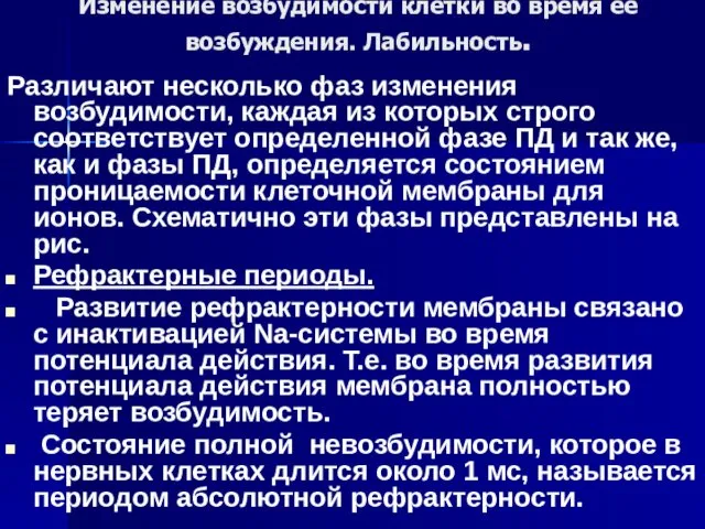 Изменение возбудимости клетки во время ее возбуждения. Лабильность. Различают несколько фаз