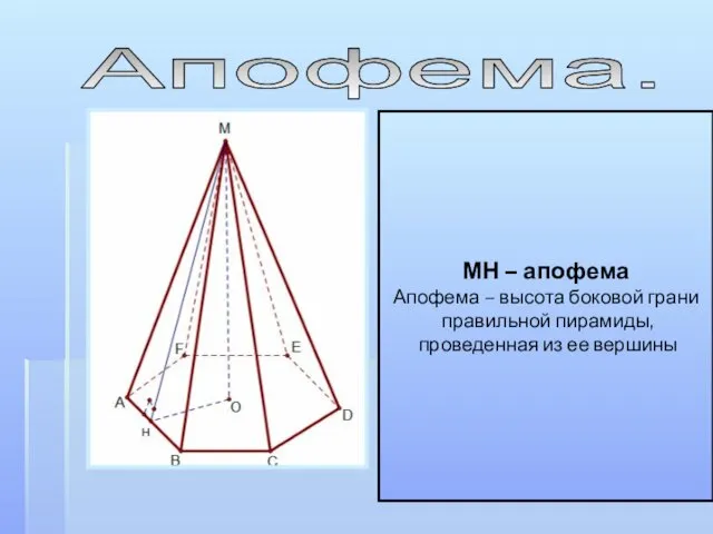 Апофема. МН – апофема Апофема – высота боковой грани правильной пирамиды, проведенная из ее вершины