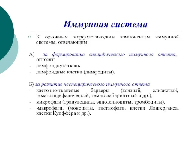 Иммунная система К основным морфологическим компонентам иммунной системы, отвечающим: А) за