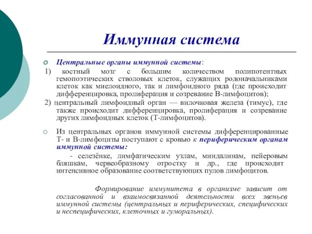 Иммунная система Центральные органы иммунной системы: 1) костный мозг с большим