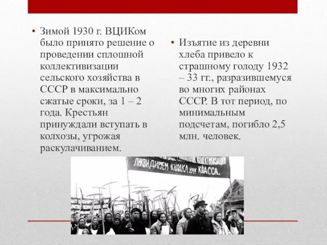 Зимой 1930 г. ВЦИКом было принято решение о проведении сплошной коллективизации