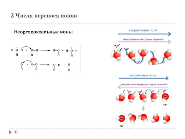 2 Числа переноса ионов Неортодоксальные ионы