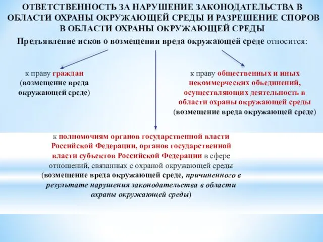 ОТВЕТСТВЕННОСТЬ ЗА НАРУШЕНИЕ ЗАКОНОДАТЕЛЬСТВА В ОБЛАСТИ ОХРАНЫ ОКРУЖАЮЩЕЙ СРЕДЫ И РАЗРЕШЕНИЕ