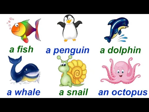 Start a fish a penguin a dolphin a whale a snail an octopus