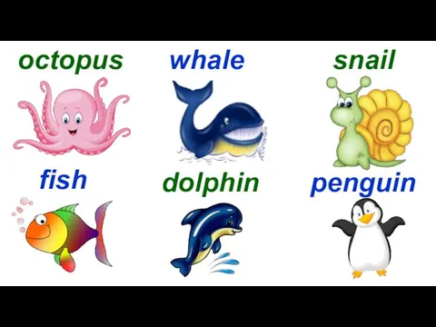 octopus whale snail fish dolphin penguin