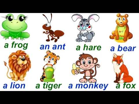 a frog an ant a hare a bear a lion a tiger a monkey a fox