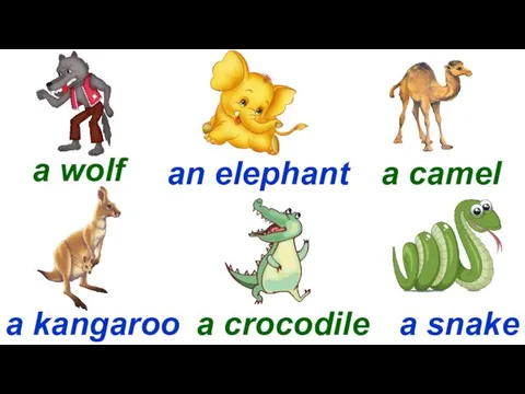 a wolf an elephant a camel a kangaroo a crocodile a snake