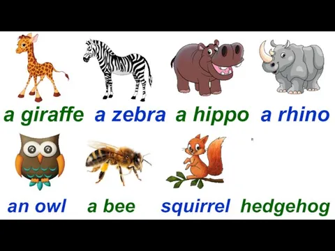 Start a giraffe a zebra a hippo a rhino an owl a bee squirrel hedgehog