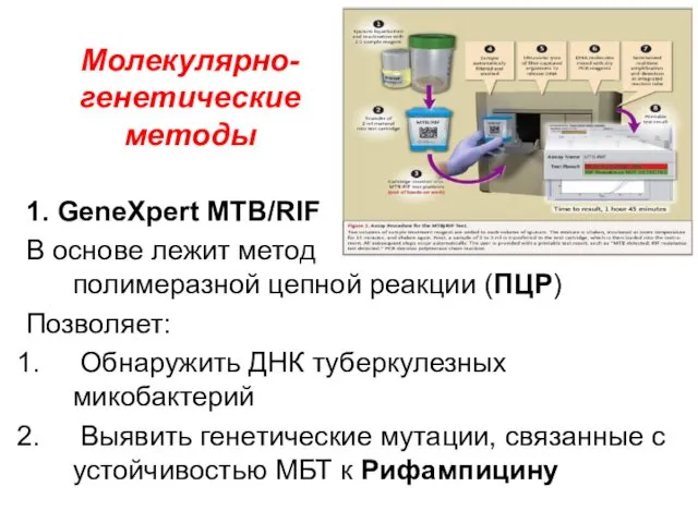 Молекулярно-генетические методы 1. GeneXpert MTB/RIF В основе лежит метод полимеразной цепной