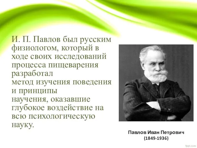 И. П. Павлов был русским физиологом, который в ходе своих исследований