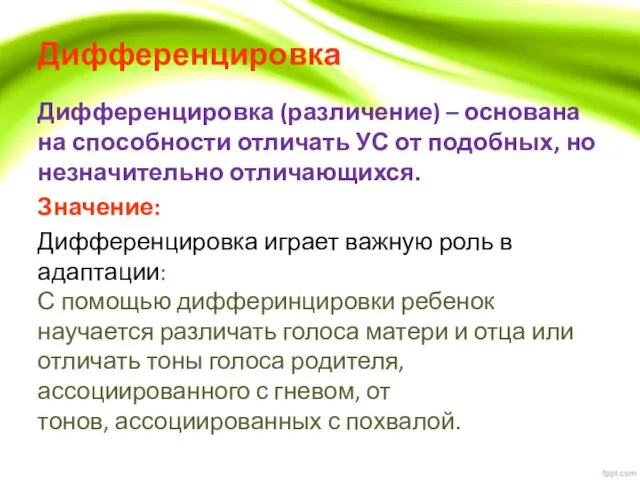 Дифференцировка Дифференцировка (различение) – основана на способности отличать УС от подобных,