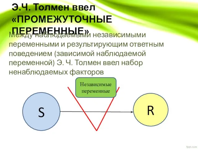 Э.Ч. Толмен ввел «ПРОМЕЖУТОЧНЫЕ ПЕРЕМЕННЫЕ» Между наблюдаемыми независимыми переменными и результирующим