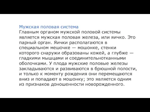 Мужская половая система Главным органом мужской половой системы является мужская половая