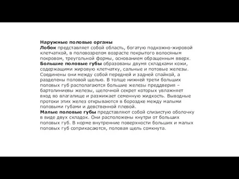 Наружные половые органы Лобок представляет собой область, богатую подкожно-жировой клетчаткой, в