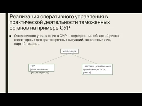 Реализация оперативного управления в практической деятельности таможенных органов на примере СУР