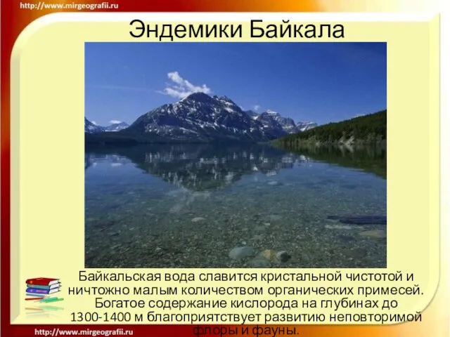 Эндемики Байкала Байкальская вода славится кристальной чистотой и ничтожно малым количеством