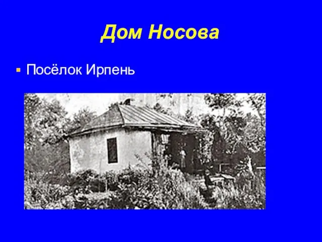 Дом Носова Посёлок Ирпень