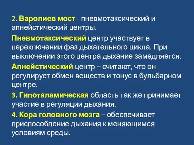 2. Варолиев мост - пневмотаксический и апнейстический центры. Пневмотаксический центр участвует