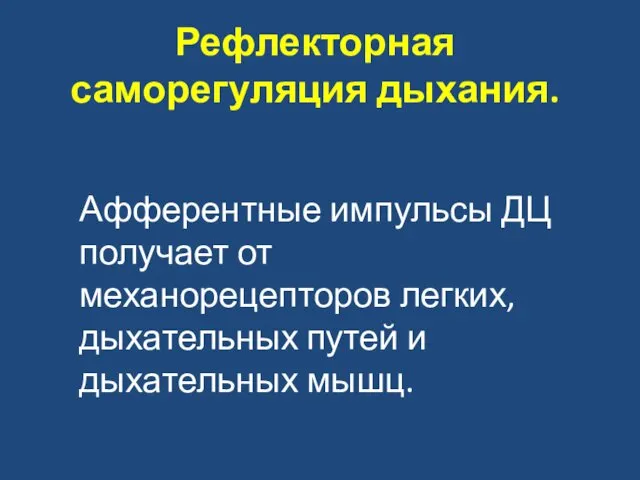 Рефлекторная саморегуляция дыхания. Афферентные импульсы ДЦ получает от механорецепторов легких, дыхательных путей и дыхательных мышц.